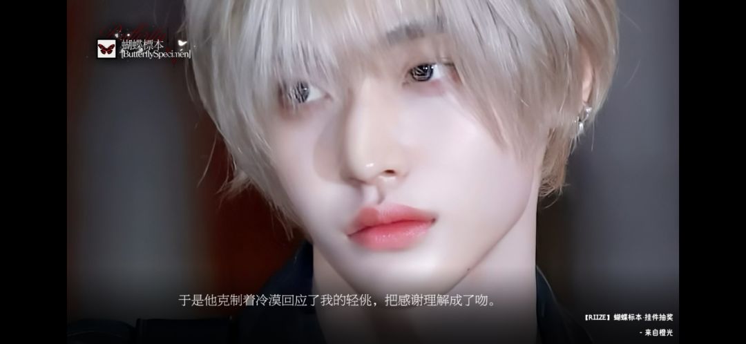 蝴蝶标本 3