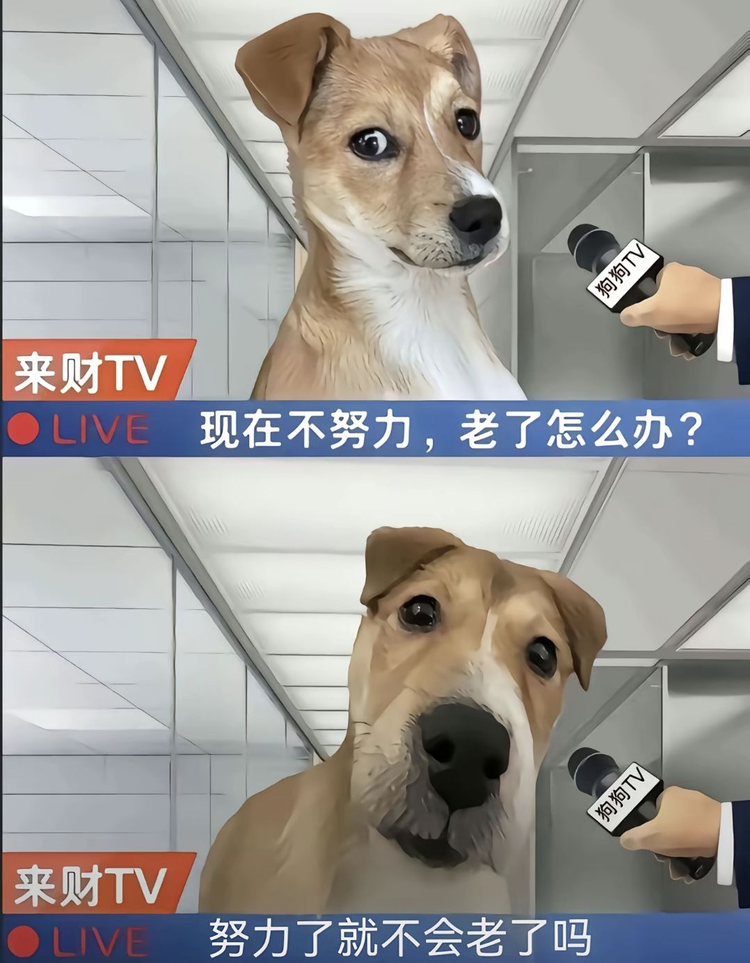 322党地仙打卡 3