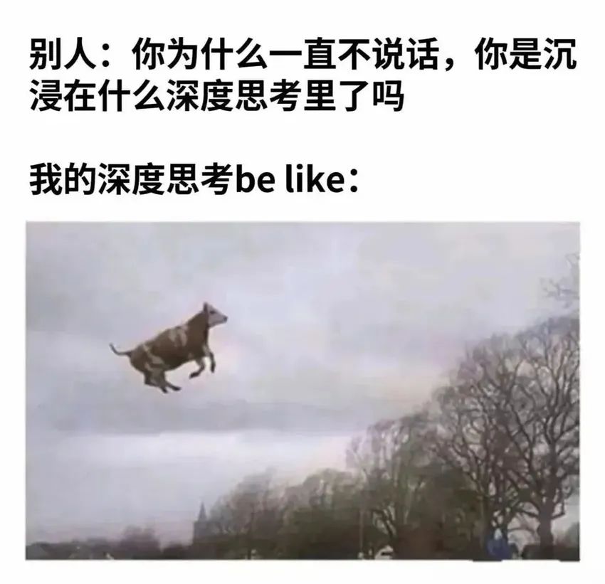 今日份梗图分享 3