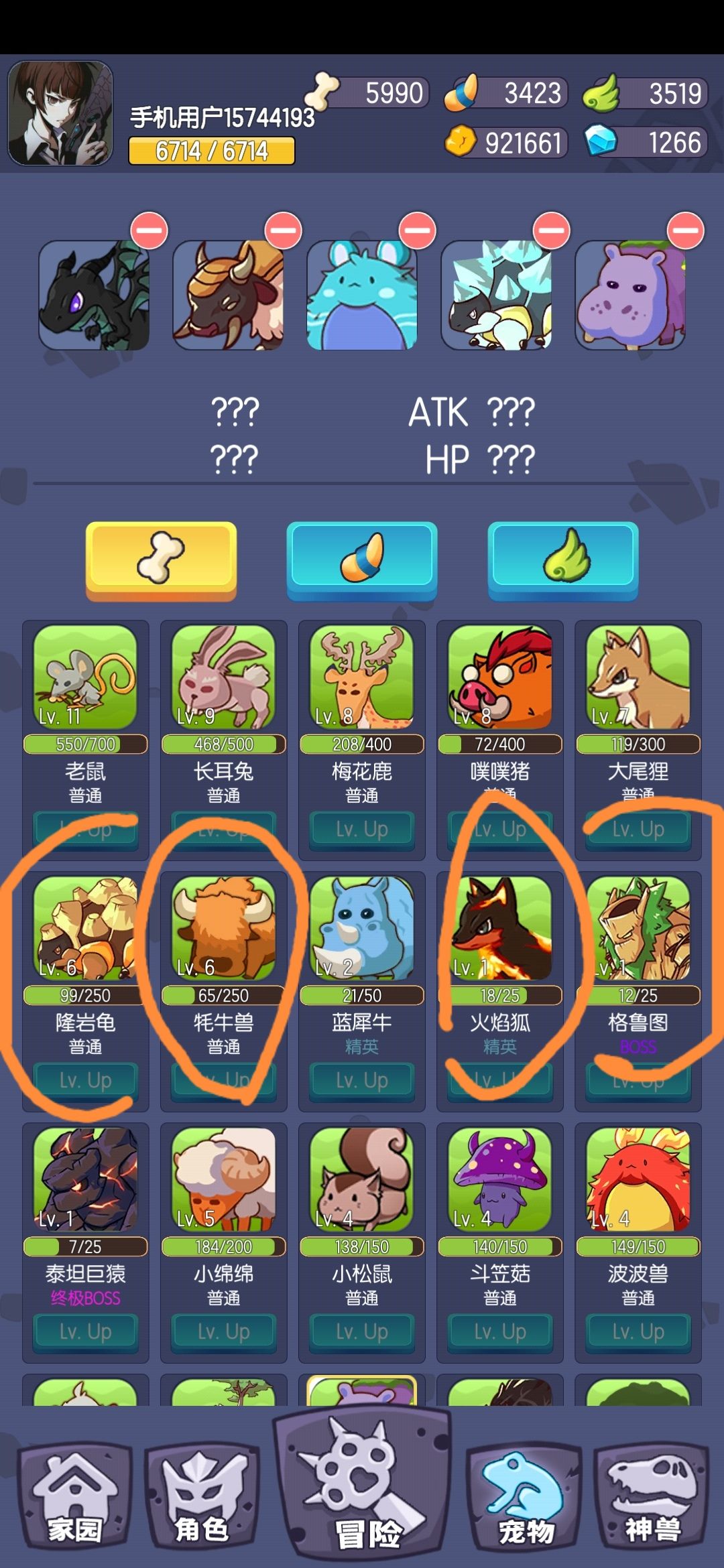新手攻略 1