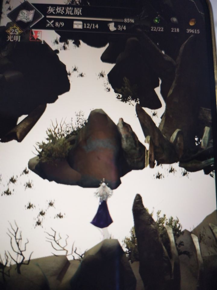 我玩的游戏是盗版吗？为何和别人不一样截图