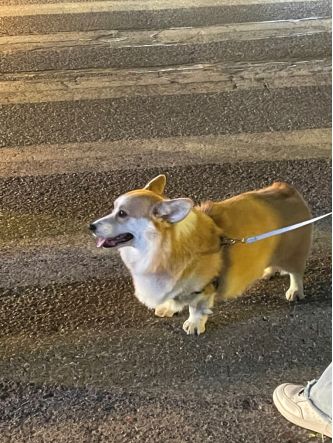 小悟1号在Tap的首条朋友圈