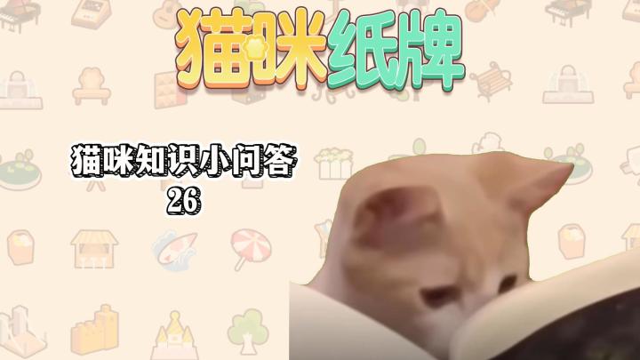 《猫咪纸牌》猫知识小问答 26🐱截图