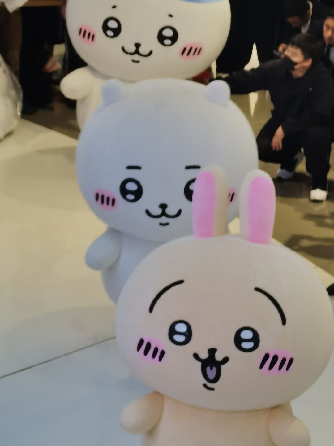 合生汇的Chiikawa活动很可爱哦 2