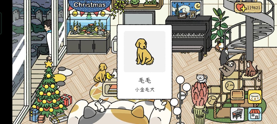 动态图片 9