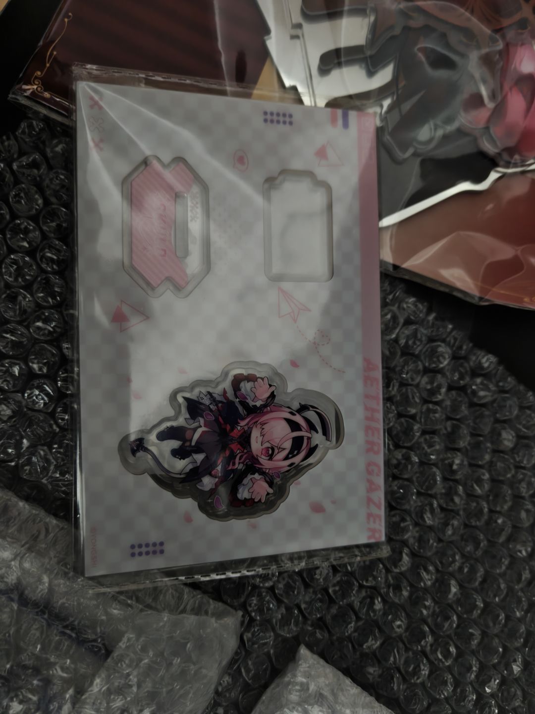 诗蔻蒂 3