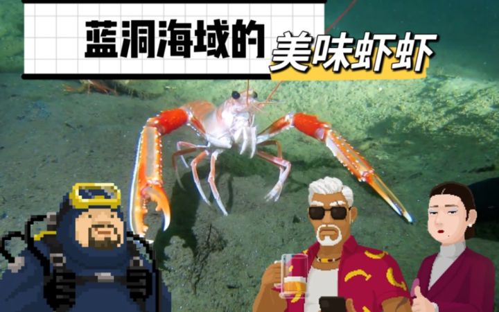 【戴夫杂谈】班乔寿司店抓了多少好吃的海虾?截图