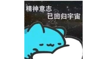 萌新攻略——策略与阵容篇（萌新向）