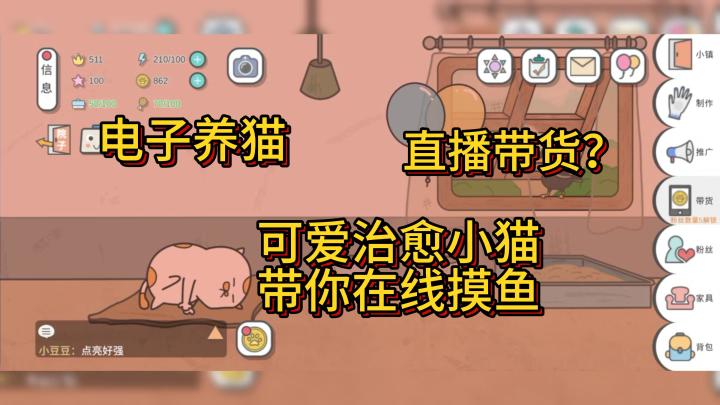 【云养猫】【模拟主播】【休闲养成】让猫咪直播这件事没人比“我”更懂了!截图