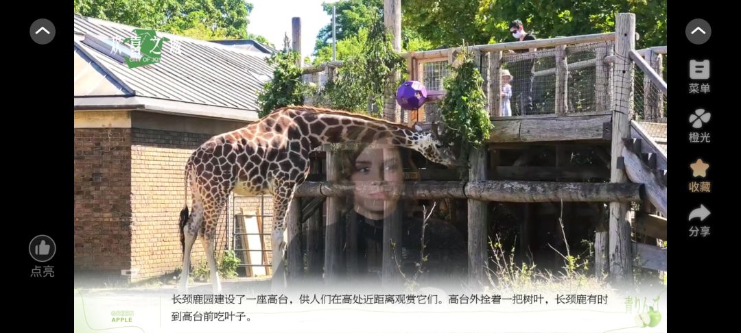 欢喜之城7截图