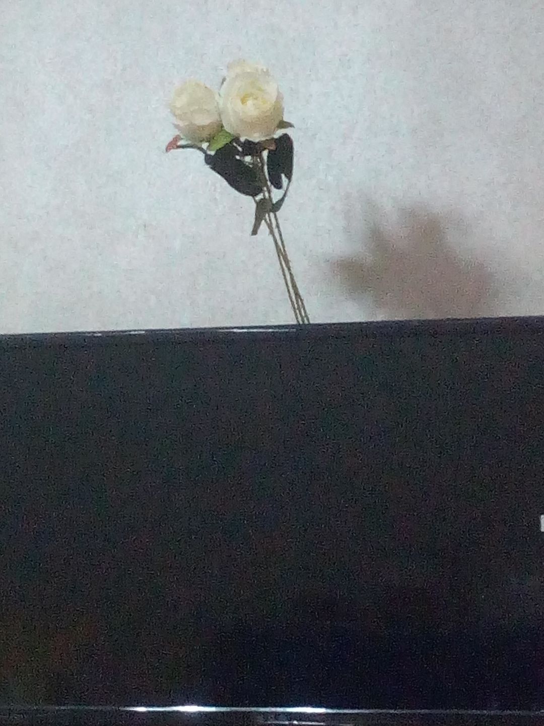 云玩任务 1