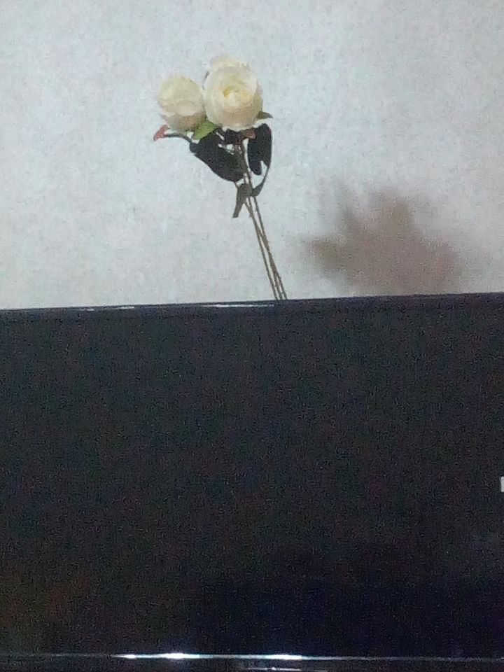 云玩任务截图