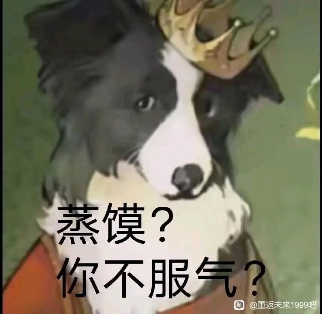 《完美答卷》截图