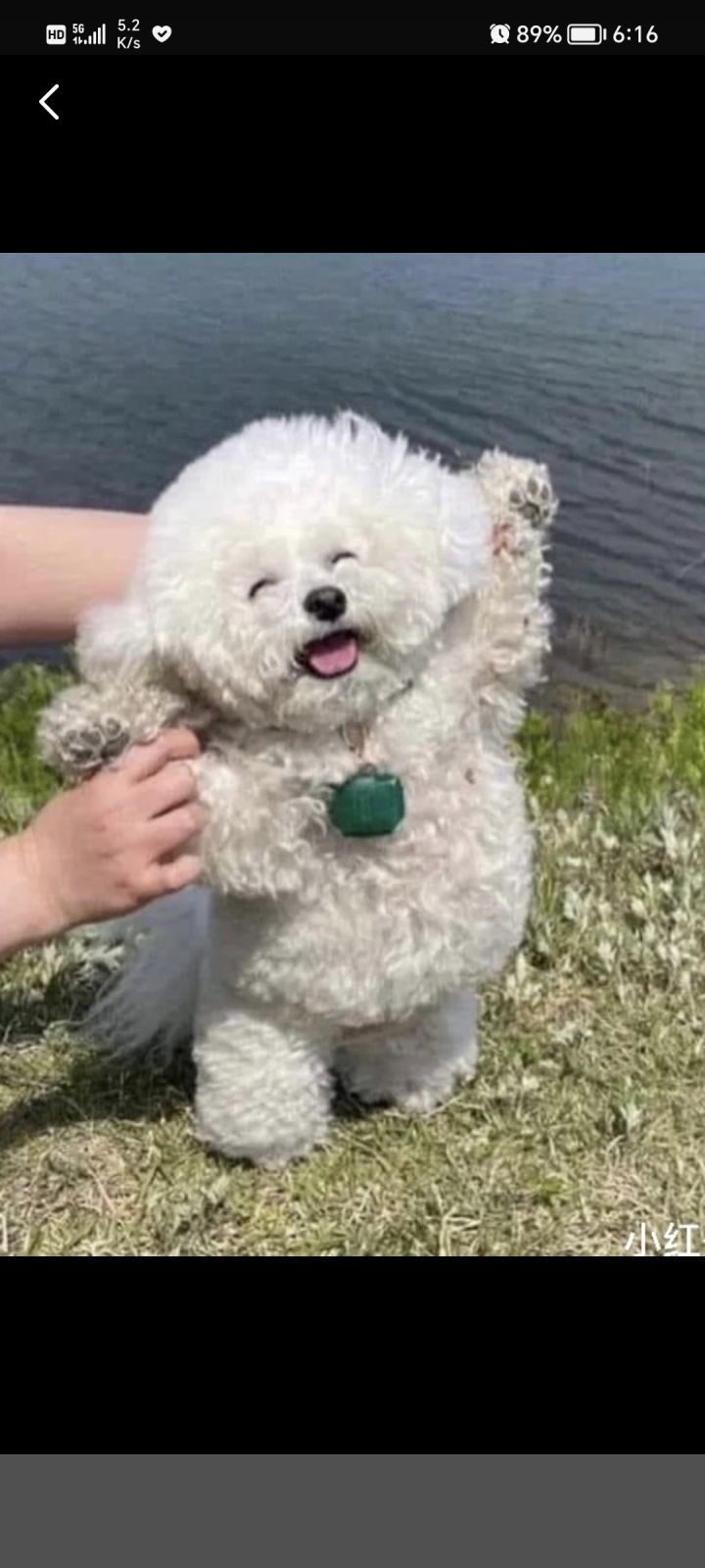 暑期生活分享第二日截图