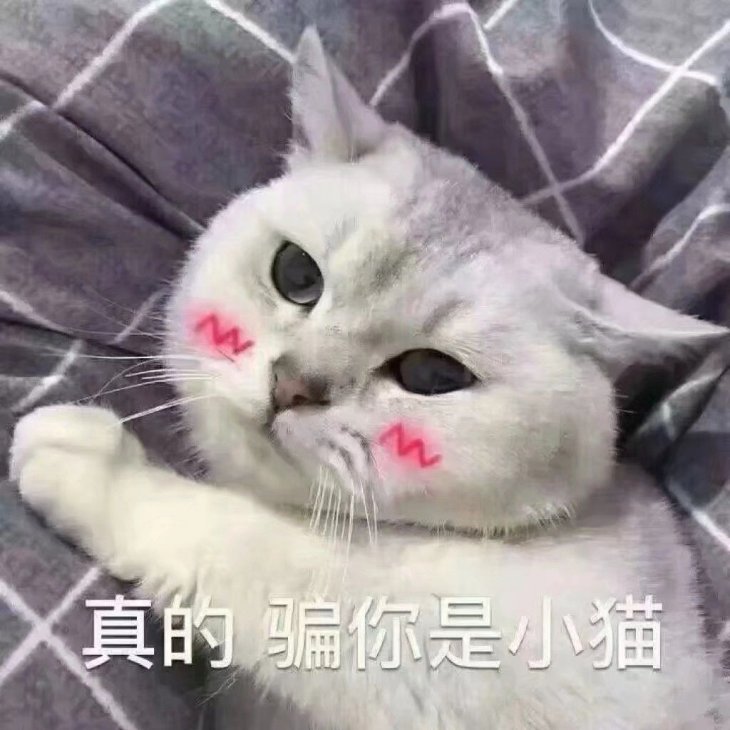 打不过秘境的小伙伴们看这里 1
