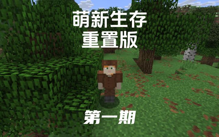 我的世界萌新生存重置版第一期截图