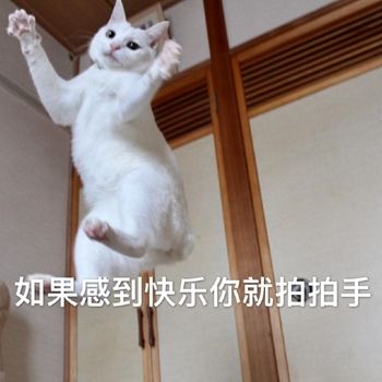 宝藏游戏又又又送皮肤啦 1