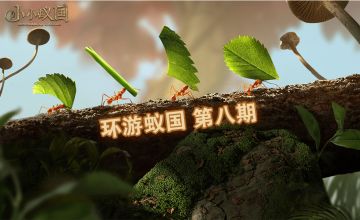 【环游蚁国】敌人侦查