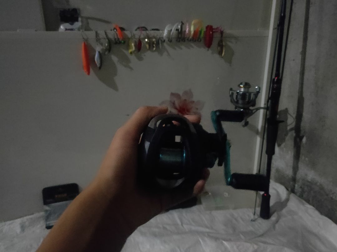 动态图片 5