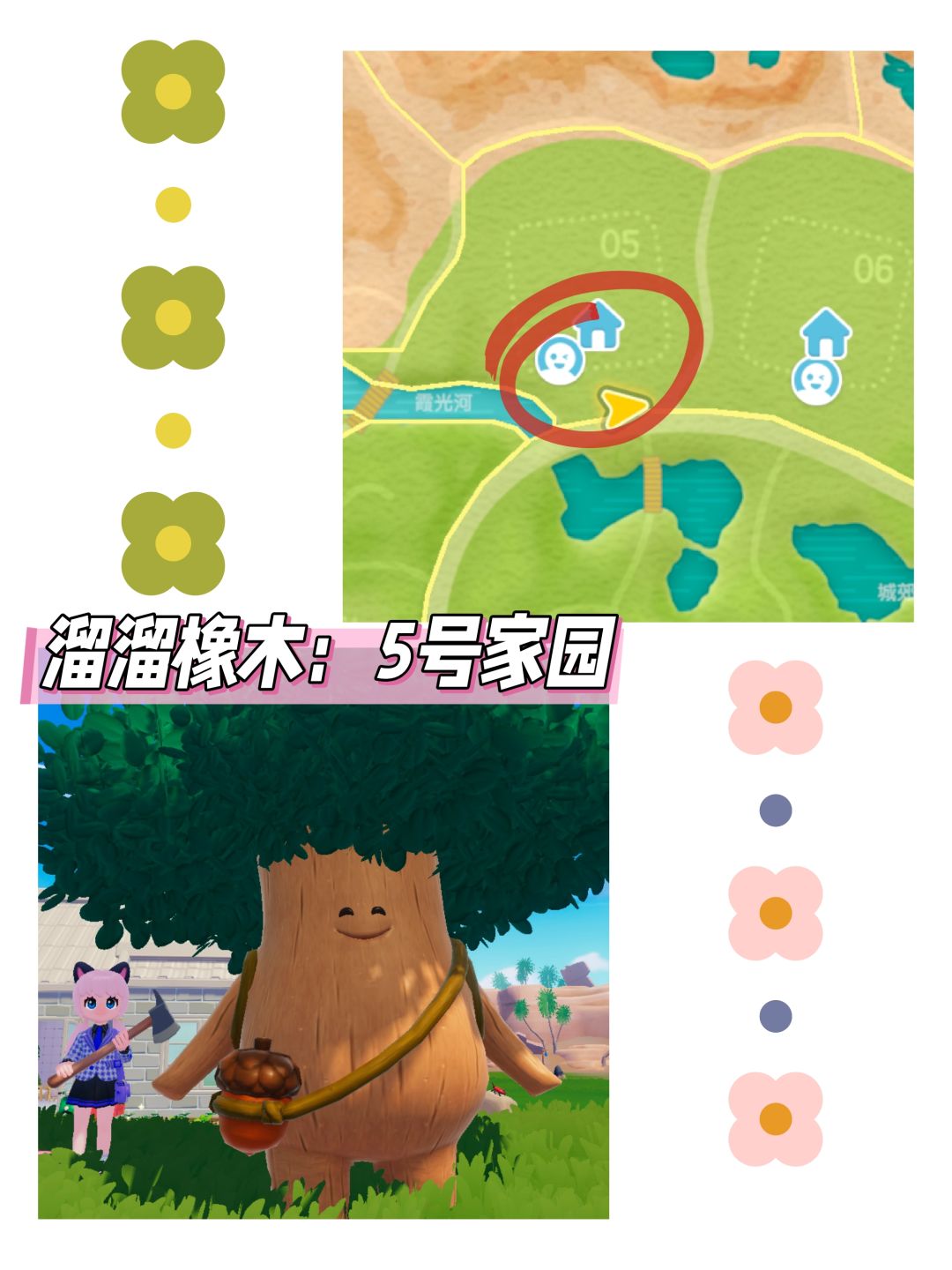 心动小镇日报(11.22)溜溜橡木＋无暇萤石 3