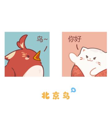 【独家速递】🆕爆！新晋顶流小花不为人知的一面