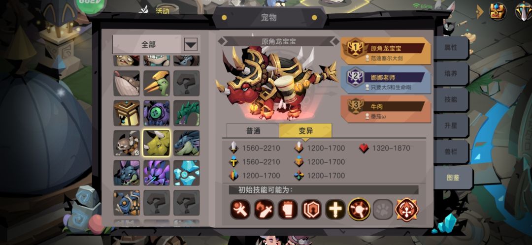 顶尖宠物三件套 3