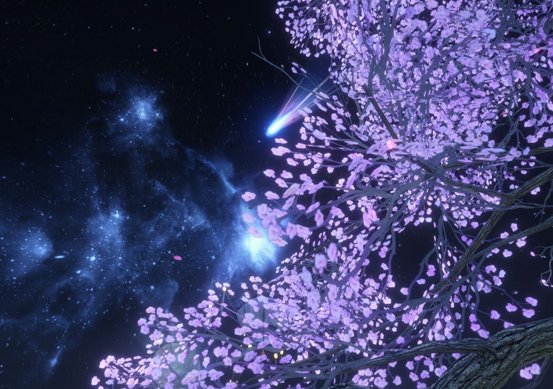 镜湖 3