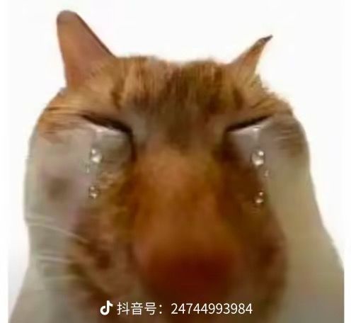 这么真实的么,女主死了,主线就用不了了 1