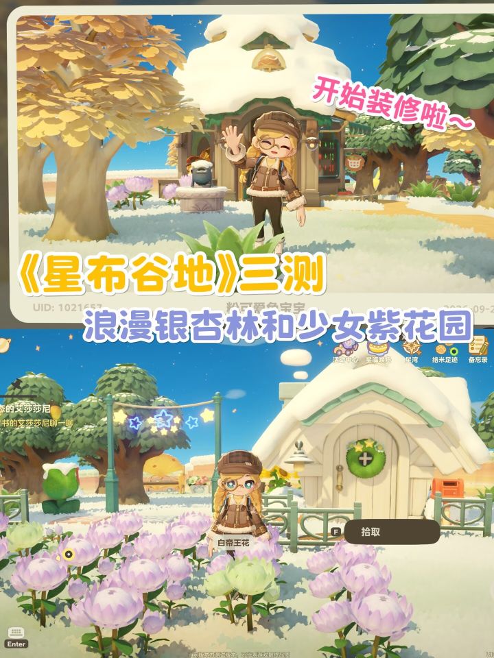 请签收!星布谷地浪漫银杏与少女紫花园截图