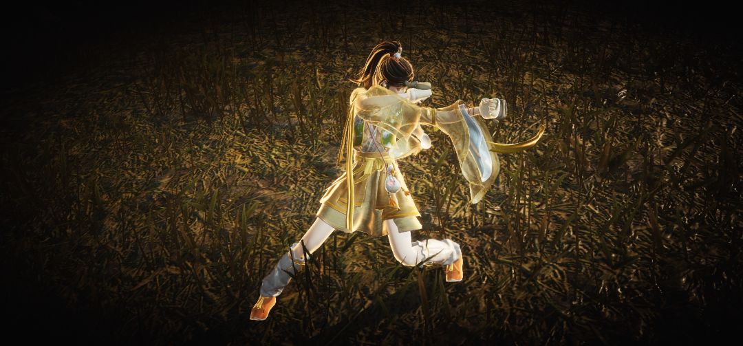 别人玩龙拳、火拳我玩喵喵拳 1