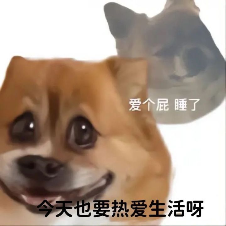 歪比歪比截图