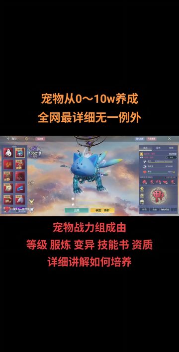 从0-10w，宠物最详细养成教学来了