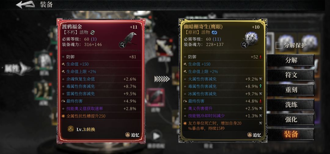 渡鸦福金 2