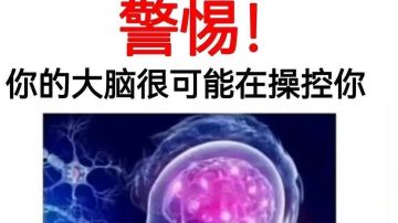 【幻境摆烂帖-改改2】春风得意正摆烂！（握拳）