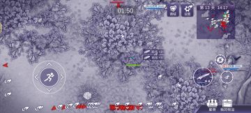 为了每一只鸡而奋斗