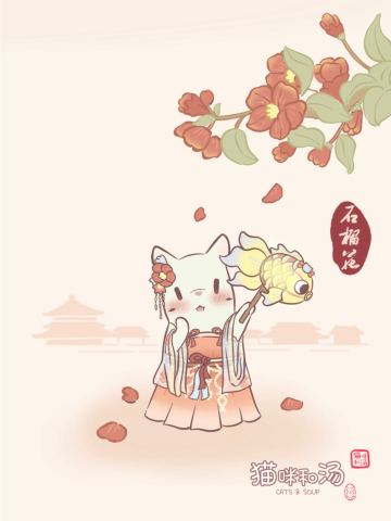 猫咪和汤| 石来运转，富贵猫猫
