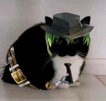 这下应该没了吧，还有好多没做