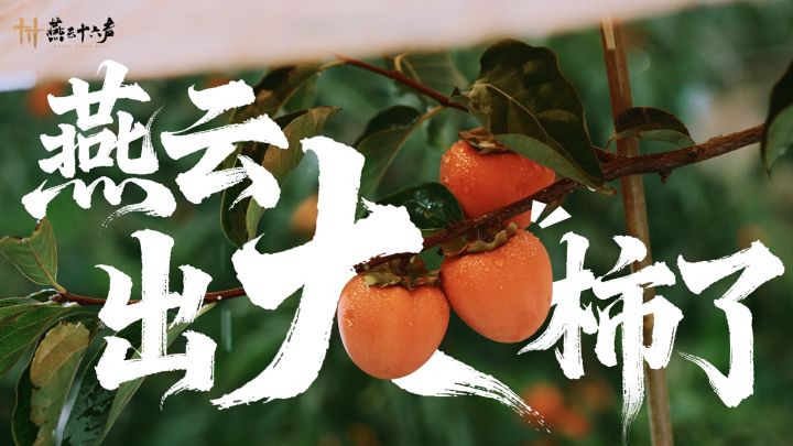 燕云×富平柿子丨消息可靠，好柿发生！截图
