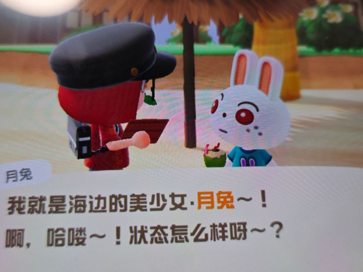 动森也有月兔啊截图