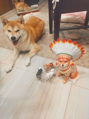 每周英雄帖占个楼，今天没时间写了。