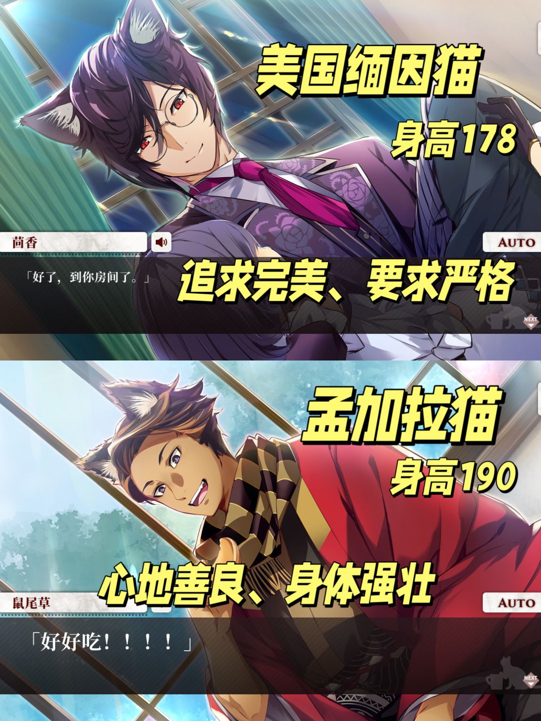 人形猫男‼️免费乙女游戏它真的香 2