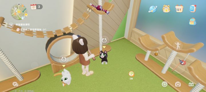 猫咪怎么选啊截图