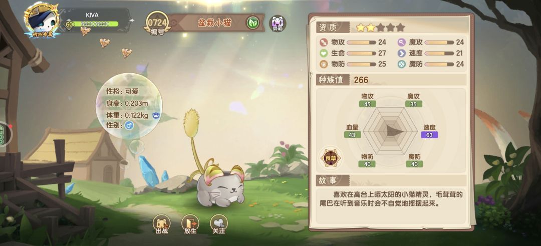 欧麦糕的，地洞里面的盆栽小猫是真的多。 3