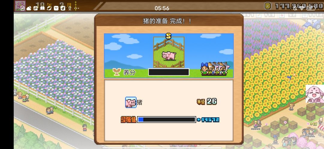 二周末23年强行毕业了 3
