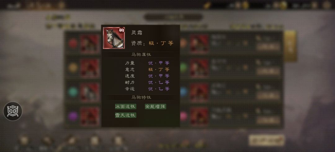 11月23日赛马前三预测 1