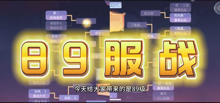 少仙-第八届单人服战-89级-8进4比赛解说截图