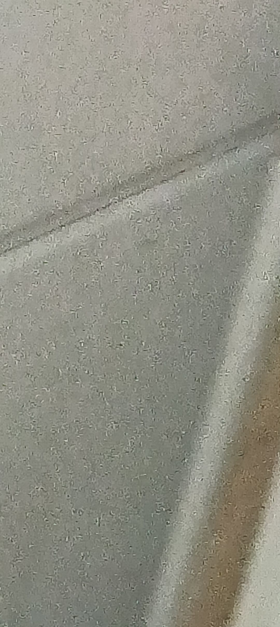 动态图片 12