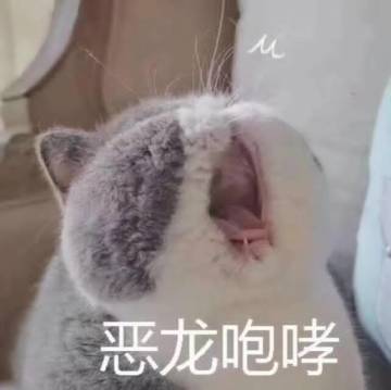 《奇萌泰迪冒险团》新手指南-地图说明