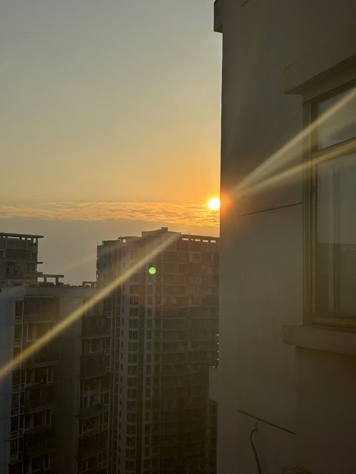 这游戏是个新的时间小偷啊截图