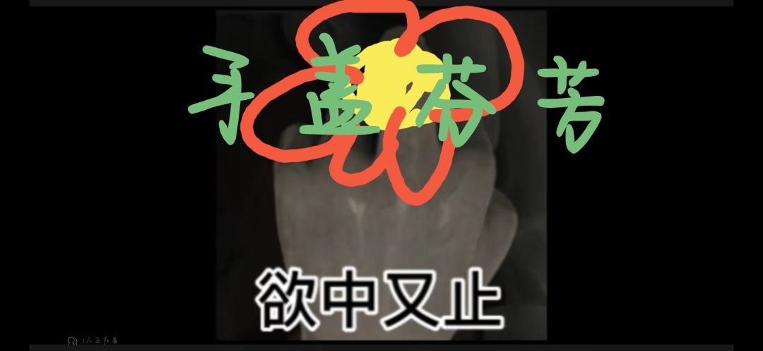 蠢官方快把纸6给我放出来!!! 2